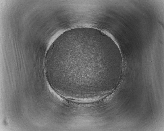 X0000100421389200806201813