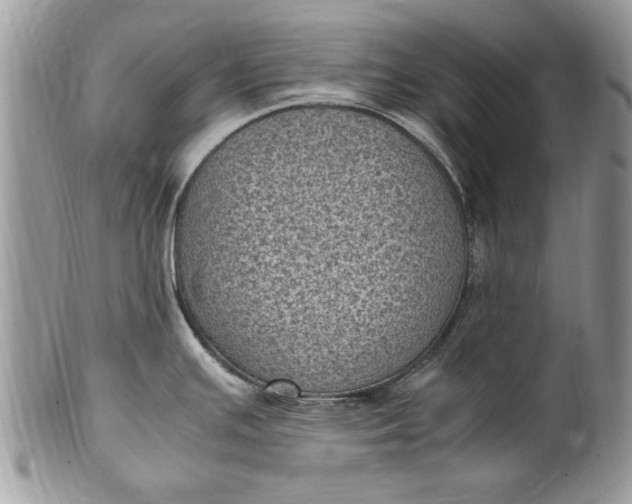 X0000100421391200806201812