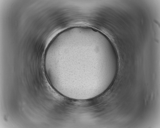 X0000100421392200806201812