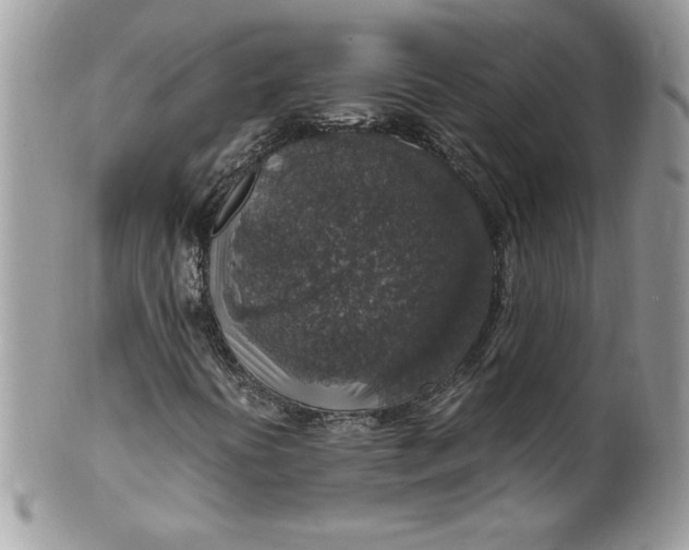 X0000100421394200806201812