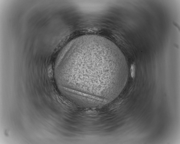 X0000100421395200806201812