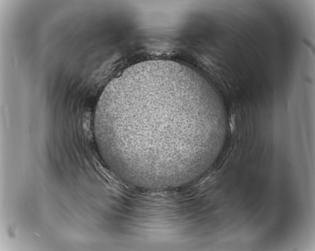 X0000100421396200806201812