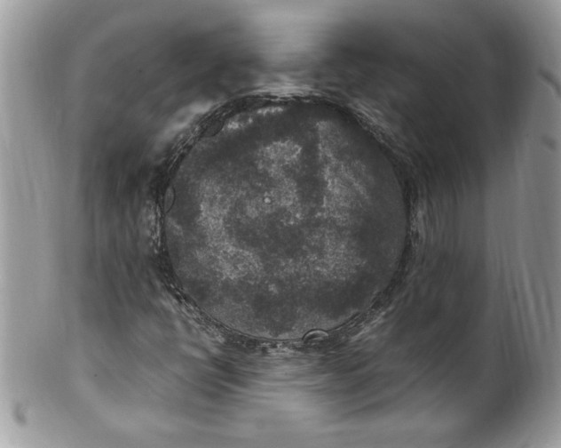X0000100421398200806201812