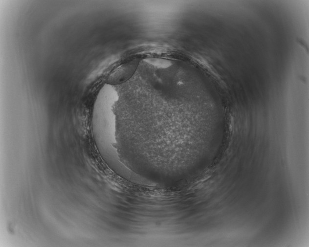X0000100421399200806201812