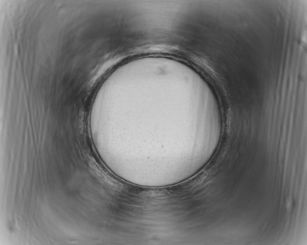 X0000100421404200806201812