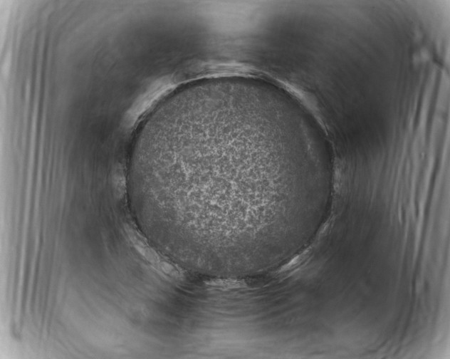 X0000100421407200806201812