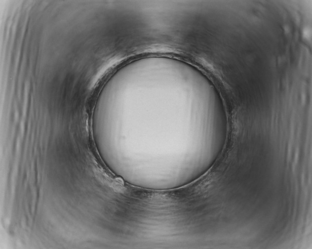 X0000100421408200806201812