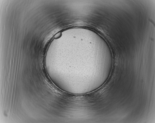 X0000100421410200806201812