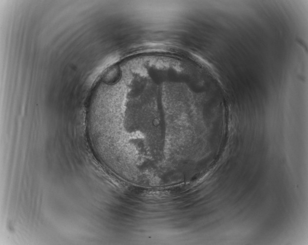 X0000100421411200806201812