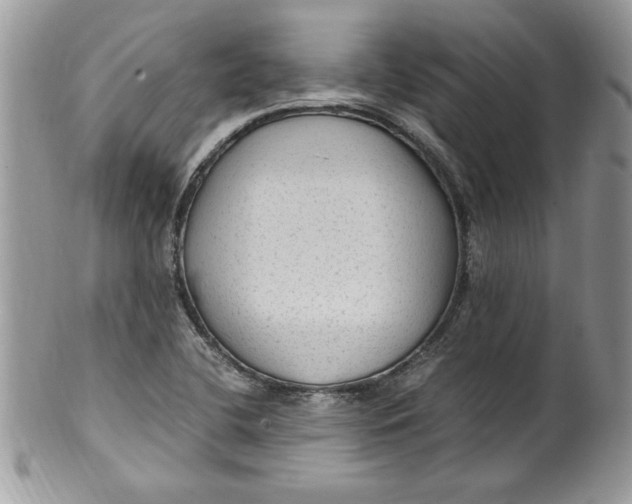 X0000100421412200806201812