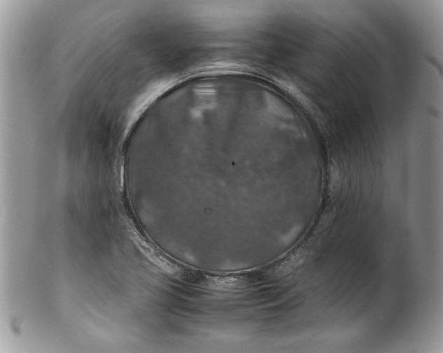 X0000100421413200806201812