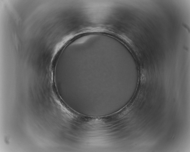 X0000100421414200806201812