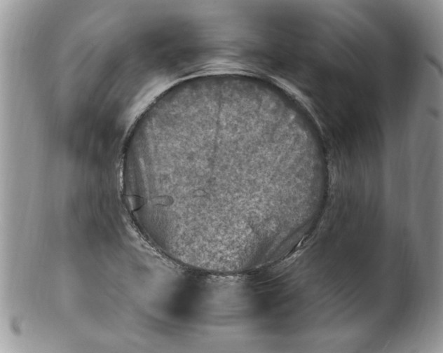 X0000100421415200806201812