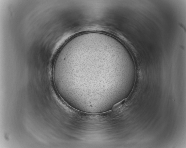 X0000100421416200806201812