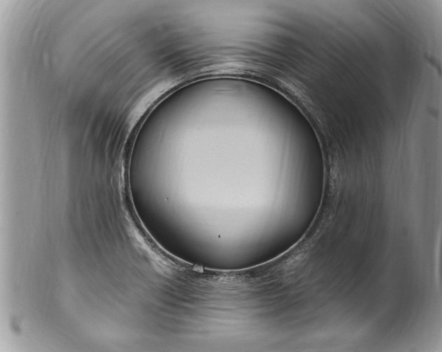 X0000100421418200806201812