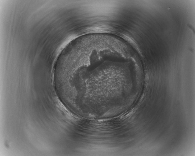 X0000100421419200806201812