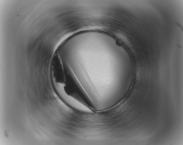 X0000100421420200806201812