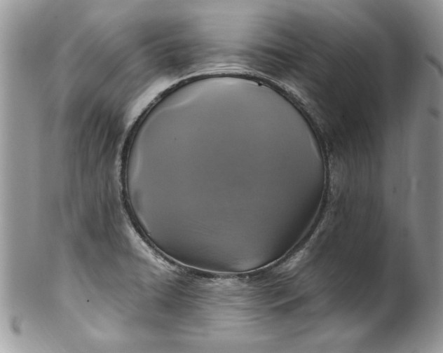 X0000100421422200806201812