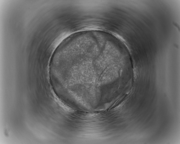 X0000100421423200806201812