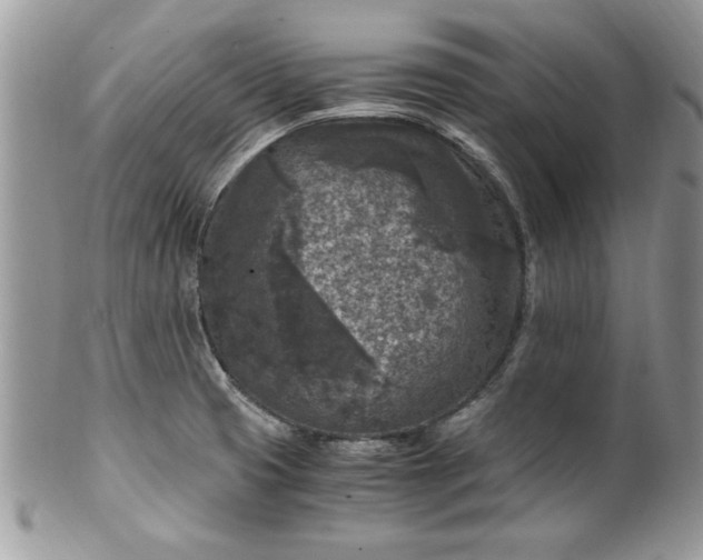 X0000100421425200806201812