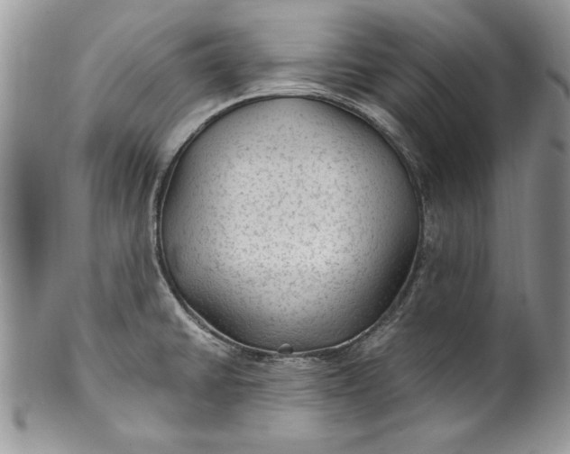 X0000100421430200806201812