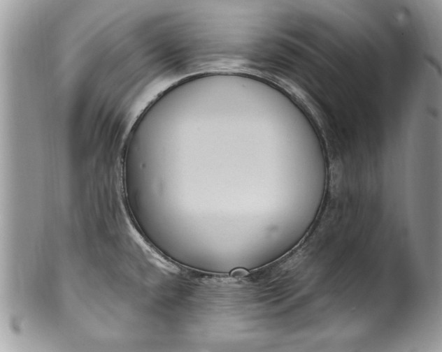 X0000100421432200806201812