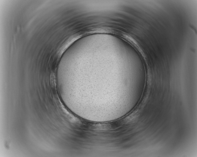 X0000100421433200806201812