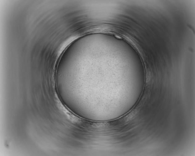X0000100421434200806201812