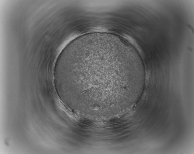 X0000100421435200806201812