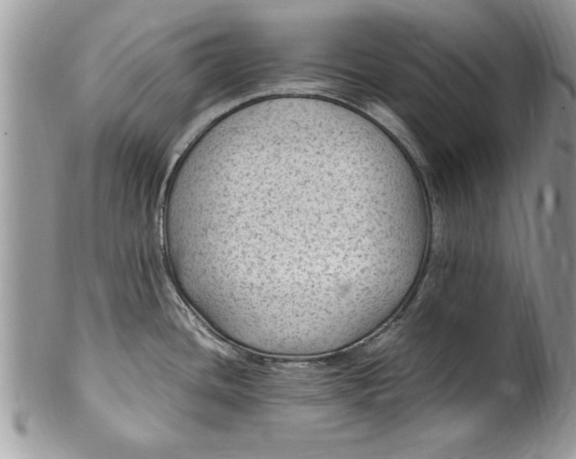 X0000100421436200806201812