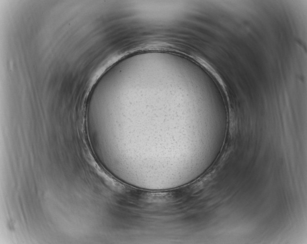 X0000100421437200806201812