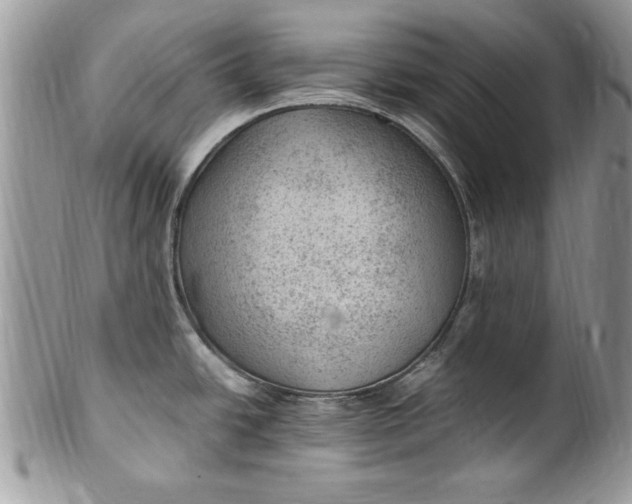 X0000100421438200806201812
