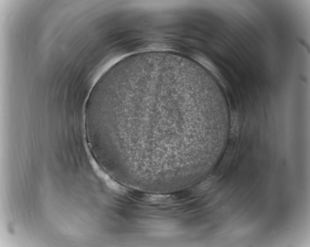 X0000100421439200806201812