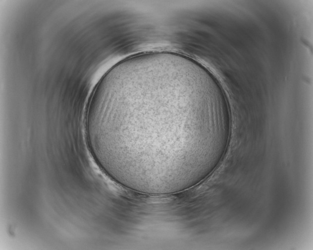 X0000100421440200806201812