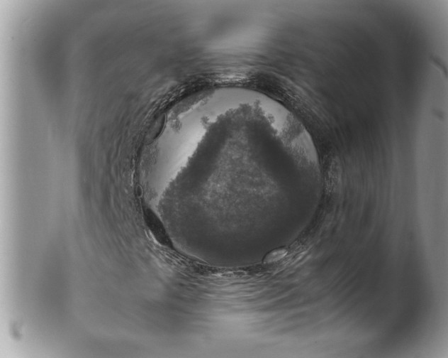 X0000100421441200806201812