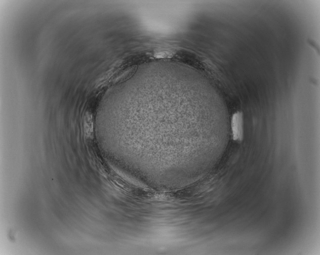 X0000100421443200806201812
