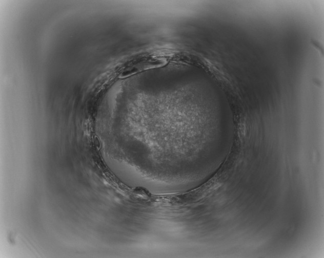 X0000100421445200806201812