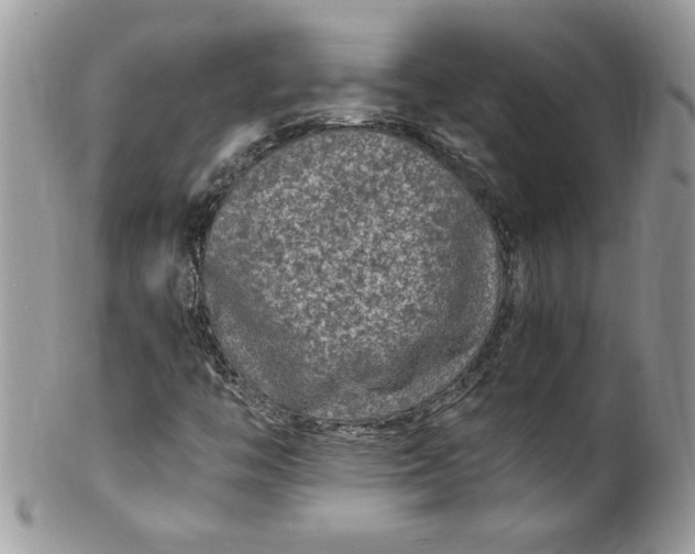 X0000100421446200806201812