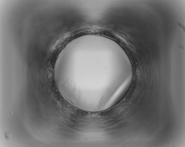 X0000100421447200806201812