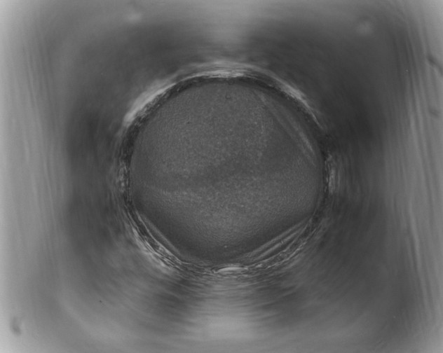 X0000100421448200806201811