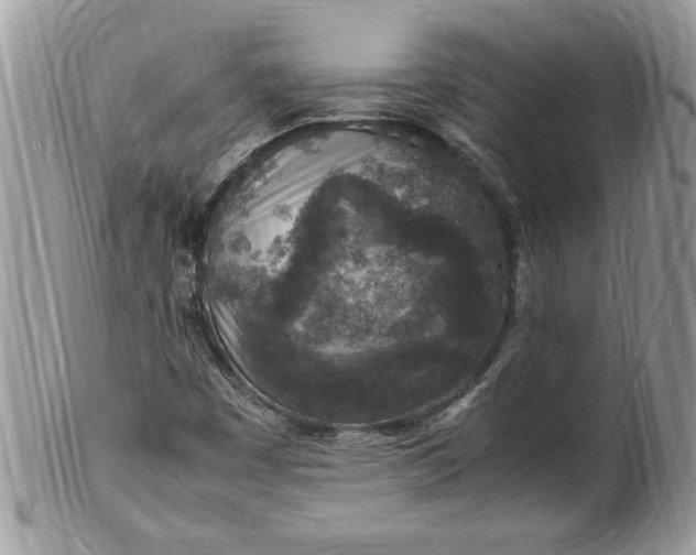 X0000100421449200806201811