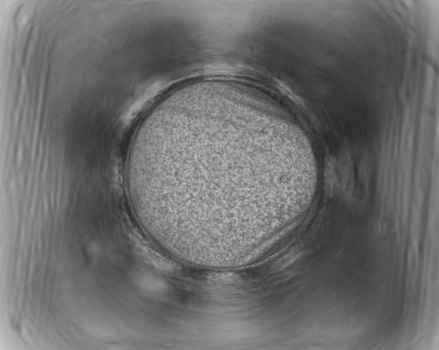 X0000100421454200806201811