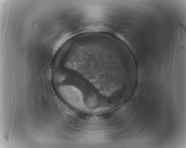 X0000100421459200806201811