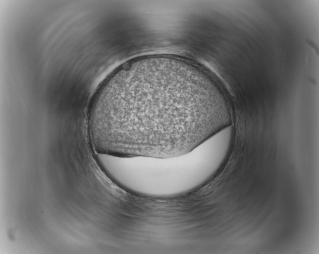 X0000100421460200806201811