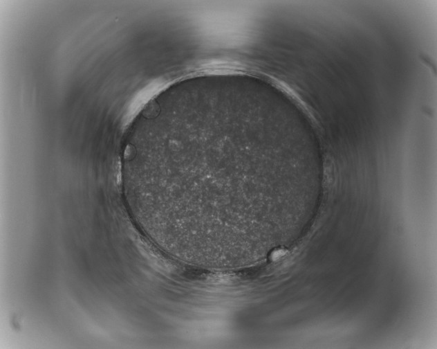 X0000100421461200806201811