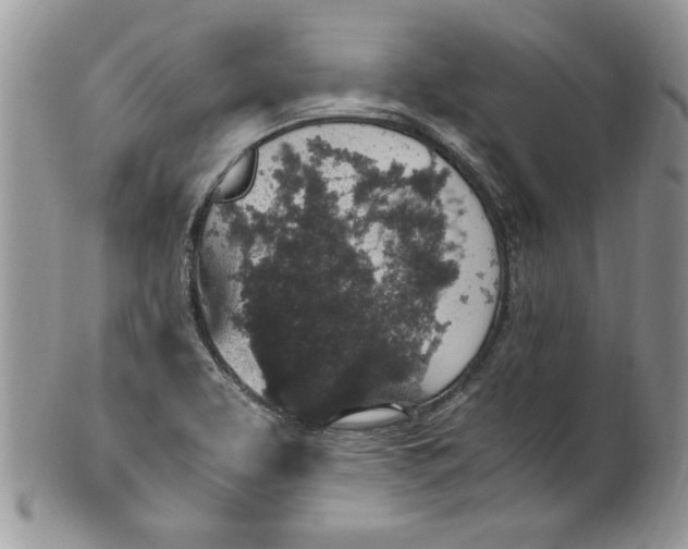 X0000100421463200806201811