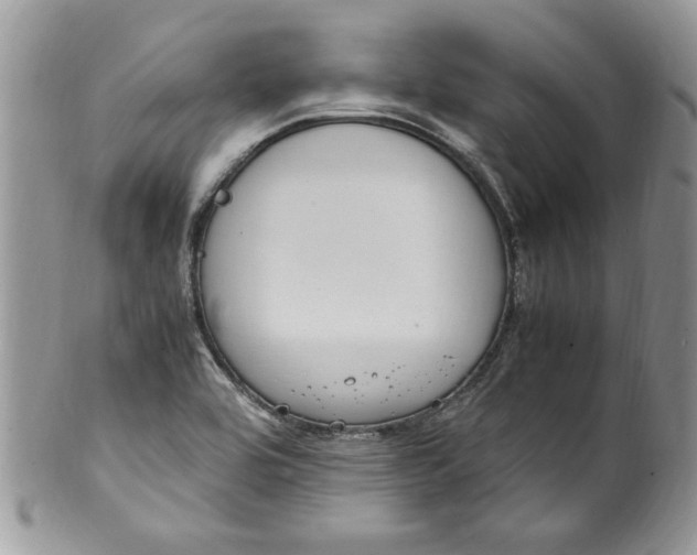 X0000100421464200806201811