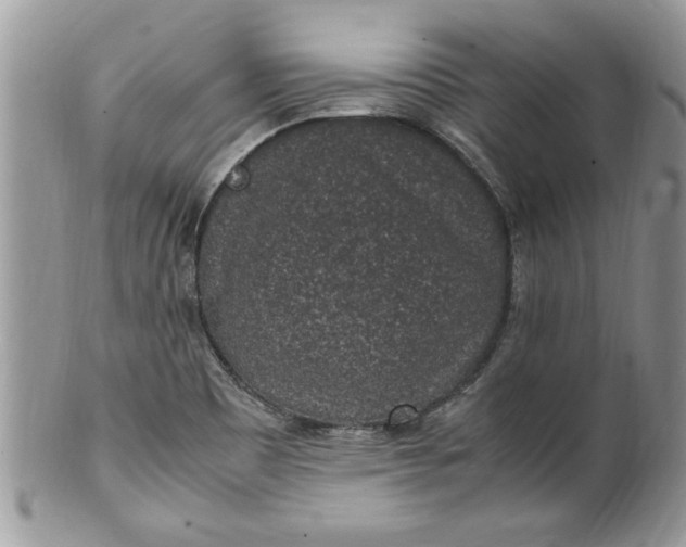 X0000100421465200806201811