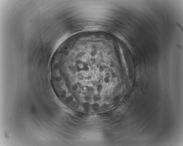 X0000100421467200806201811