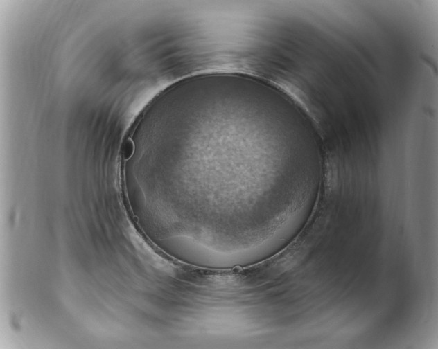 X0000100421468200806201811